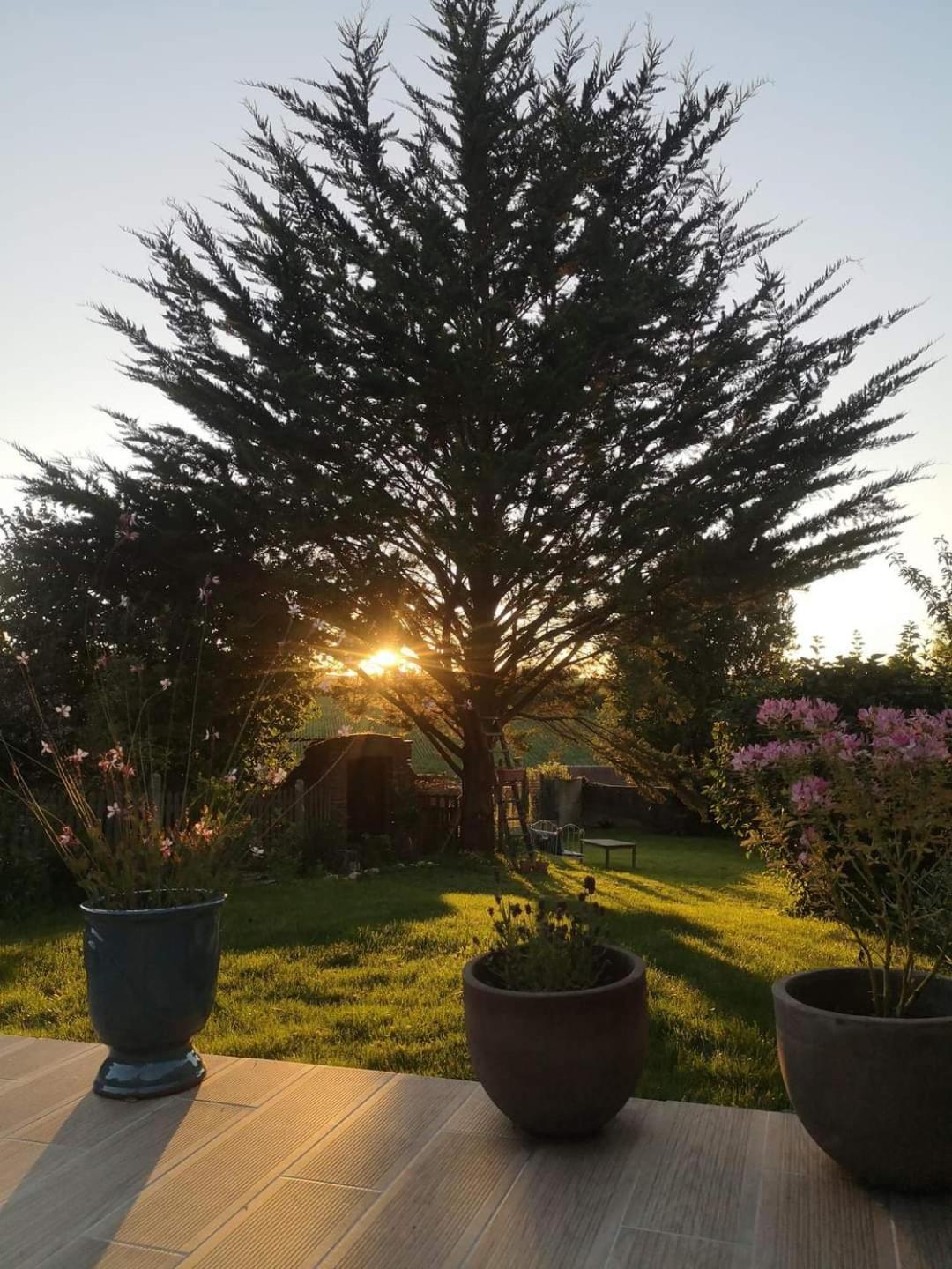 Au Coeur De Mortagne, Un Balcon Sur Le Perche